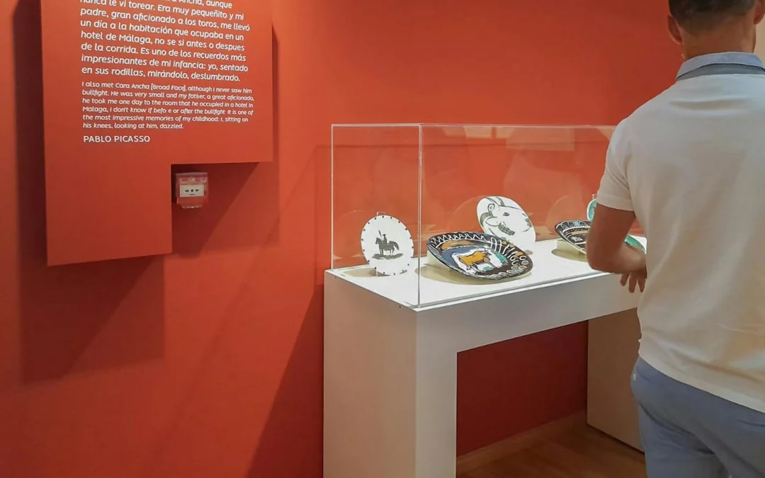 Picasso's Birthplace Museum Tickets Image 8