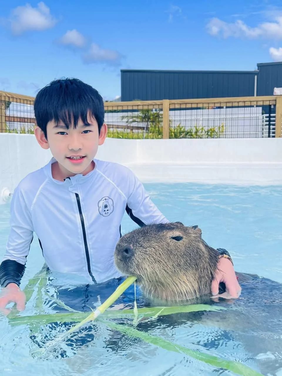 Pingtung Kenting Luyi Island Capybara Ecological Park Ticket
