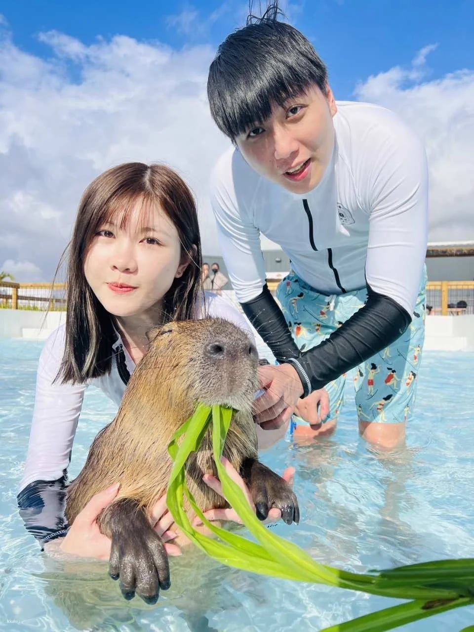 Pingtung Kenting Luyi Island Capybara Ecological Park Ticket