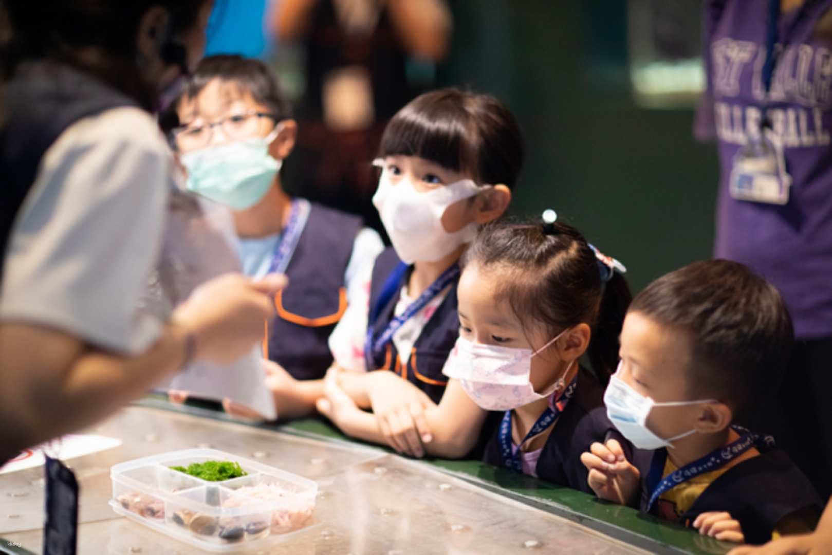 Pingtung Marine Life Museum: Journey with the Fish, Overnight Mini Narrator, Night Patrol Tide Sea Party & My Penguin