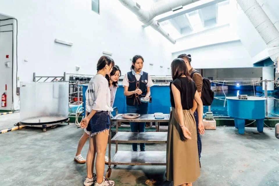 Pingtung National Museum of Marine Biology & Aquarium | Fish with You • Mini Guided Family Camp • Me and the Penguins in 0.1 Millimeters • Exploring the Intertidal Zone During the Day • Nighttime Tidal Wave Party