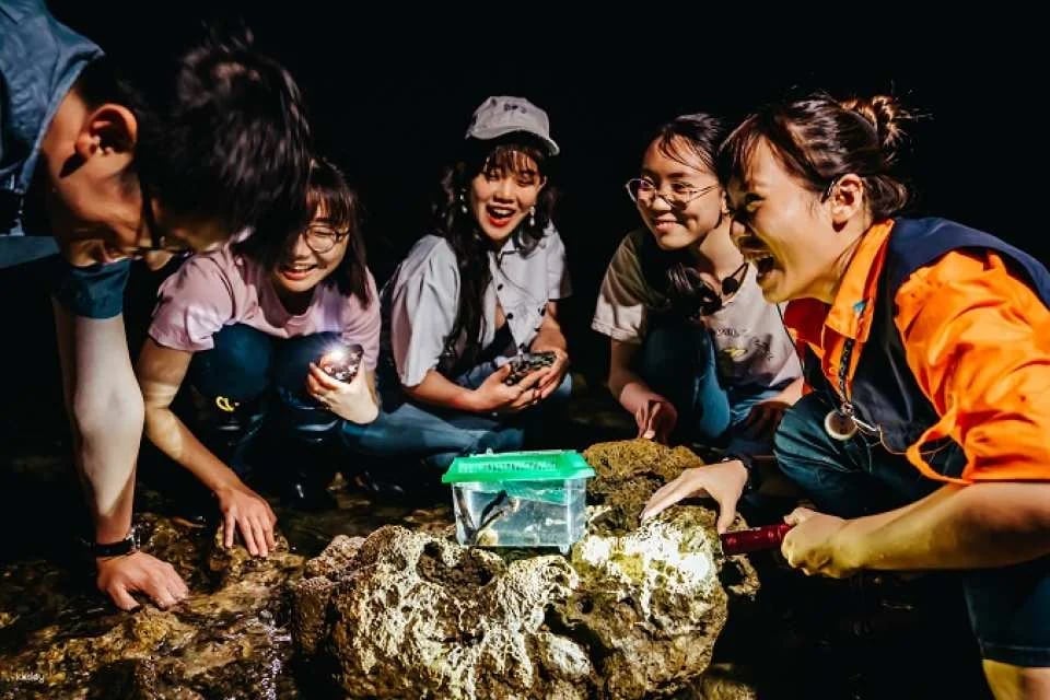Pingtung National Museum of Marine Biology & Aquarium | Fish with You • Mini Guided Family Camp • Me and the Penguins in 0.1 Millimeters • Exploring the Intertidal Zone During the Day • Nighttime Tidal Wave Party