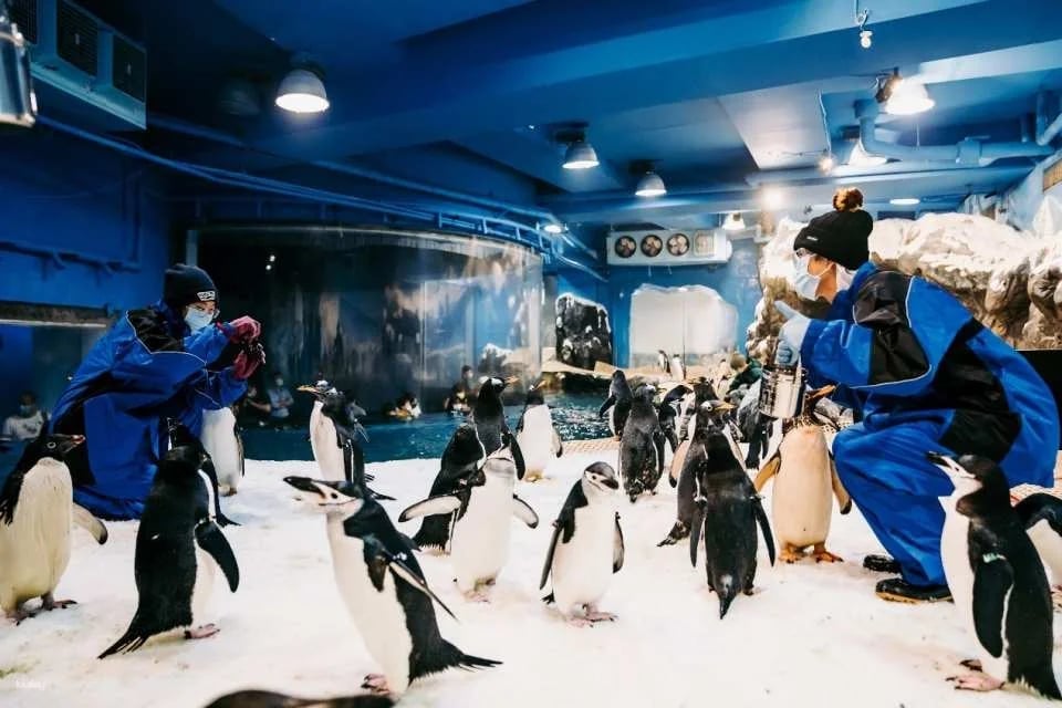 Pingtung National Museum of Marine Biology & Aquarium | Fish with You • Mini Guided Family Camp • Me and the Penguins in 0.1 Millimeters • Exploring the Intertidal Zone During the Day • Nighttime Tidal Wave Party