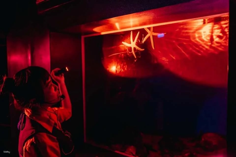 Pingtung National Museum of Marine Biology & Aquarium | Fish with You • Mini Guided Family Camp • Me and the Penguins in 0.1 Millimeters • Exploring the Intertidal Zone During the Day • Nighttime Tidal Wave Party