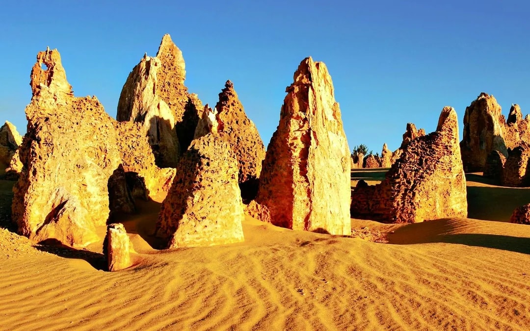 Pinnacles, Sandboarding & Wildlife Spotting 4WD Tour with Lunch & Round-Trip Transfers Image 2
