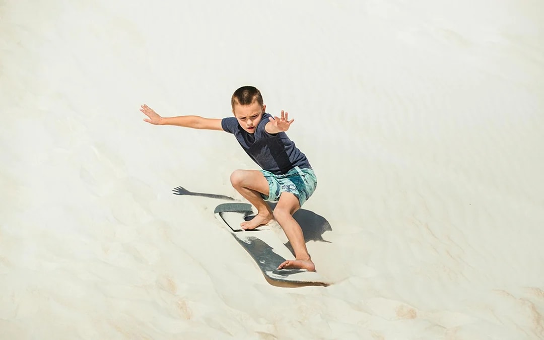 Pinnacles, Sandboarding & Wildlife Spotting 4WD Tour with Lunch & Round-Trip Transfers Image 3