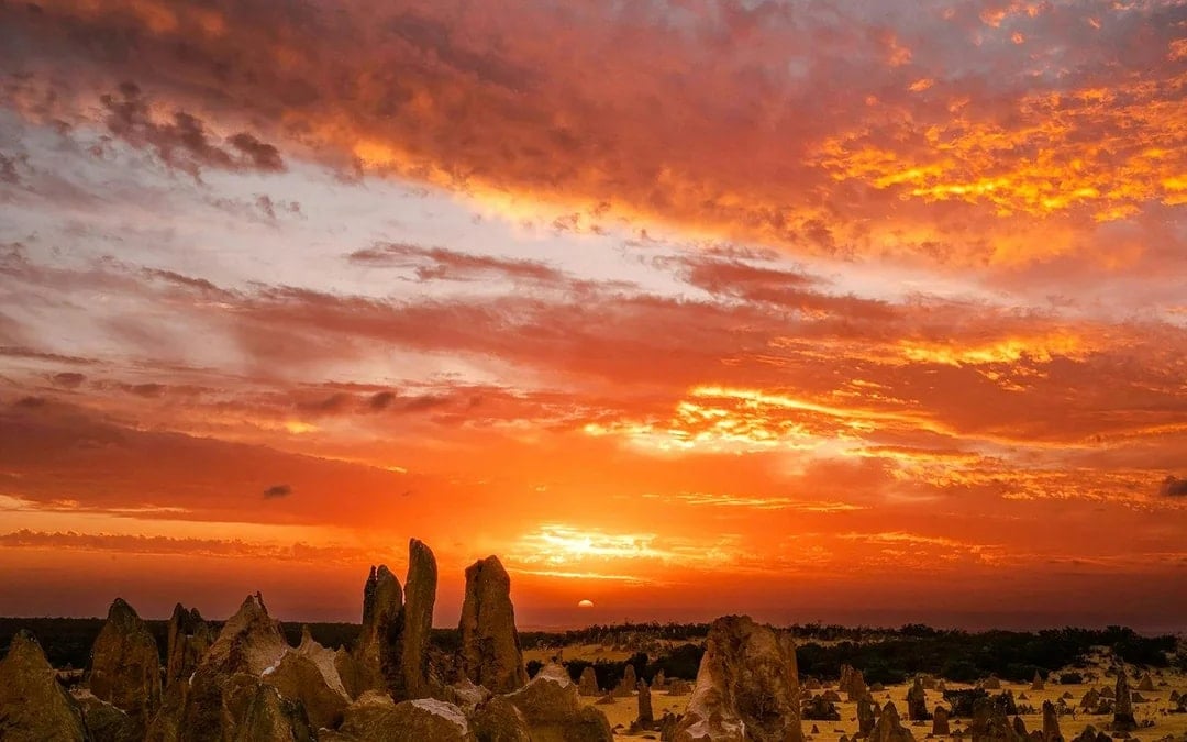 Pinnacles Sunset, Stargazing, & Wildlife Spotting Tour with Tavern Dinner & Round-Trip Transfers Image 1
