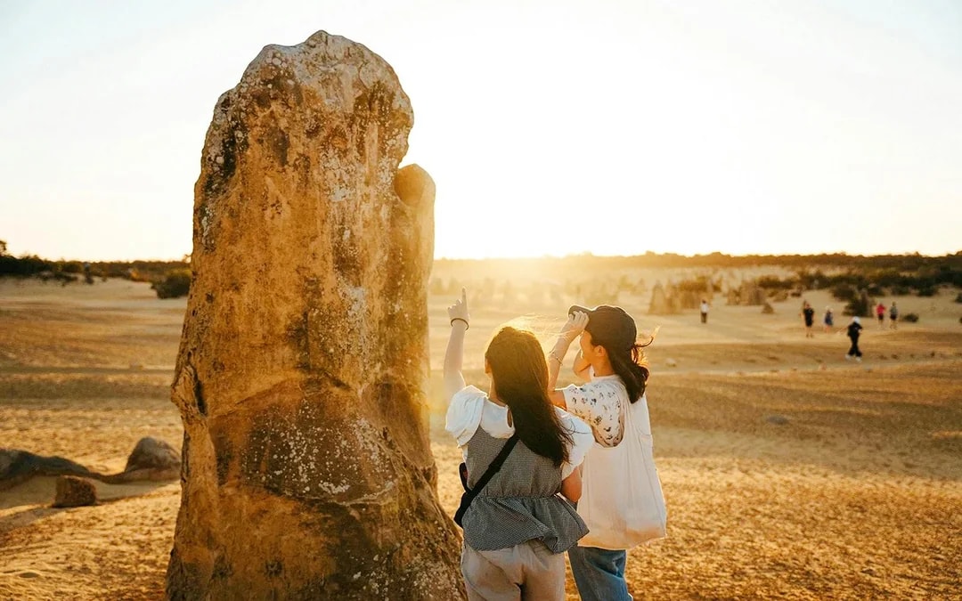 Pinnacles Sunset, Stargazing, & Wildlife Spotting Tour with Tavern Dinner & Round-Trip Transfers Image 3