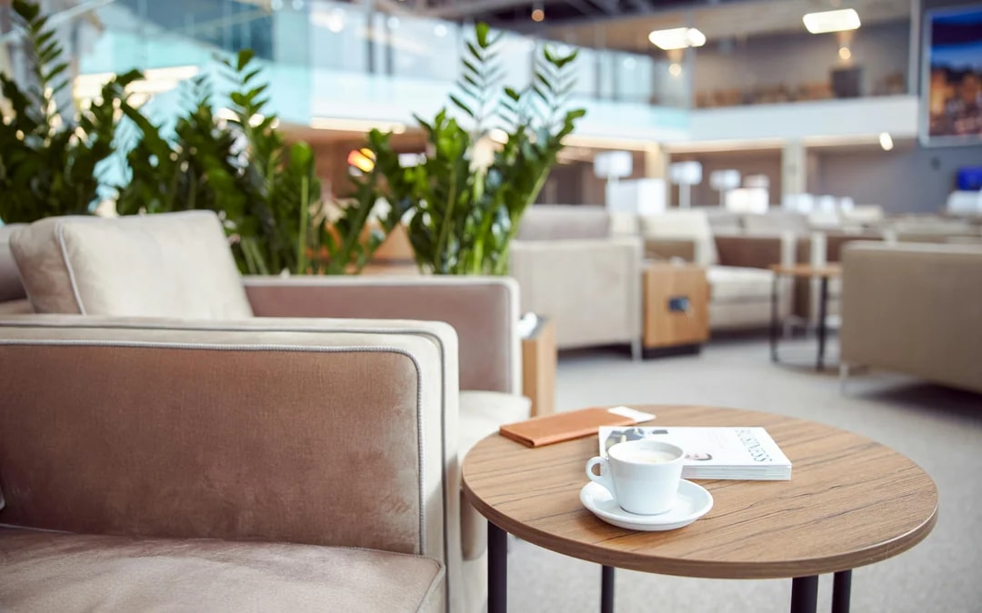 Plaza Premium Lounge at Cairo Airport (Terminal 3 Seasonal) Image 6