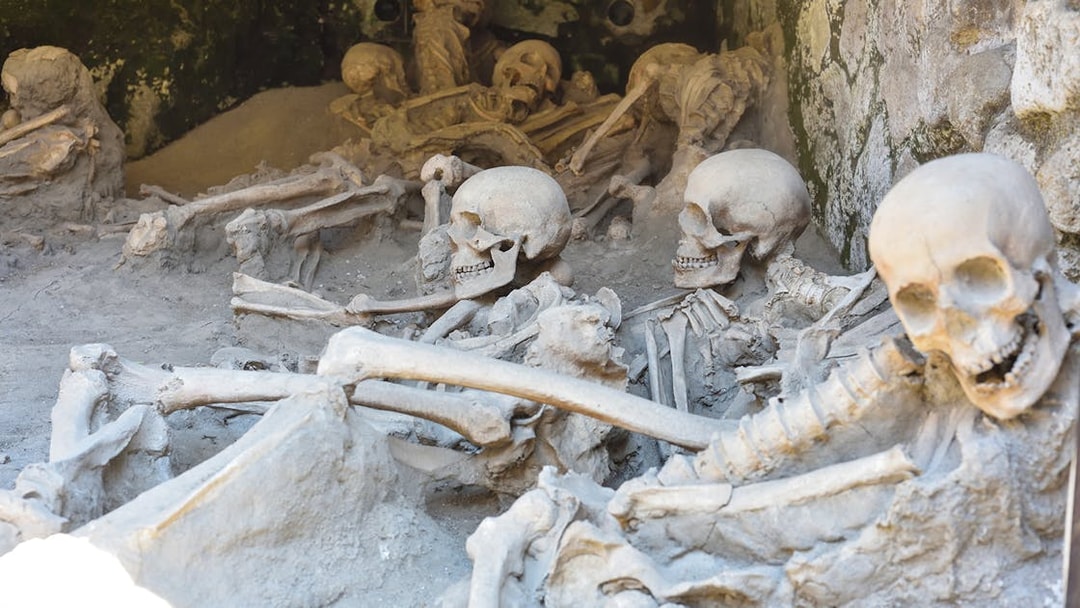 Skeletons preserved in ash at Herculaneum archaeological site near Naples, Italy.