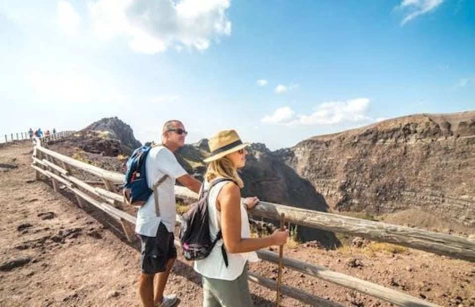Pompeii and Vesuvius volcano skip the line guided tour from Sorrento