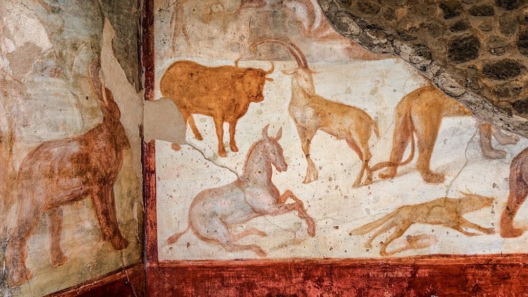 Ancient fresco of animals on a wall in Pompeii, Italy.