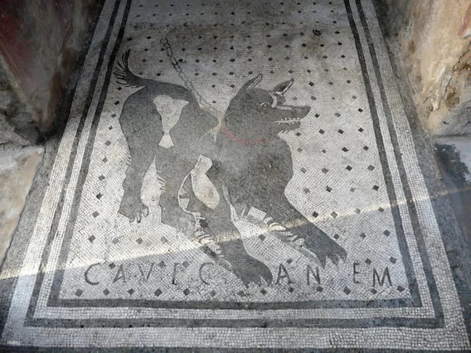 Pompeii Skip-the-Line Tickets with Audio Guide
