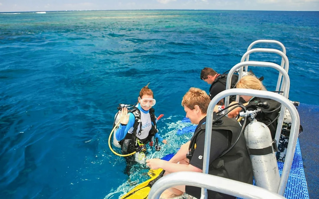 Port Douglas to Low Isles Island Cruise with Guided Snorkel Image 6