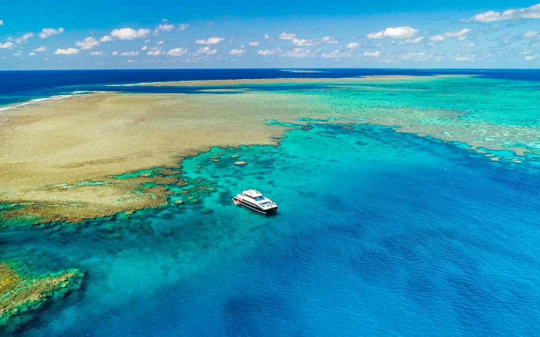 Port Douglas to Low Isles Island Cruise with Guided Snorkel Image 1