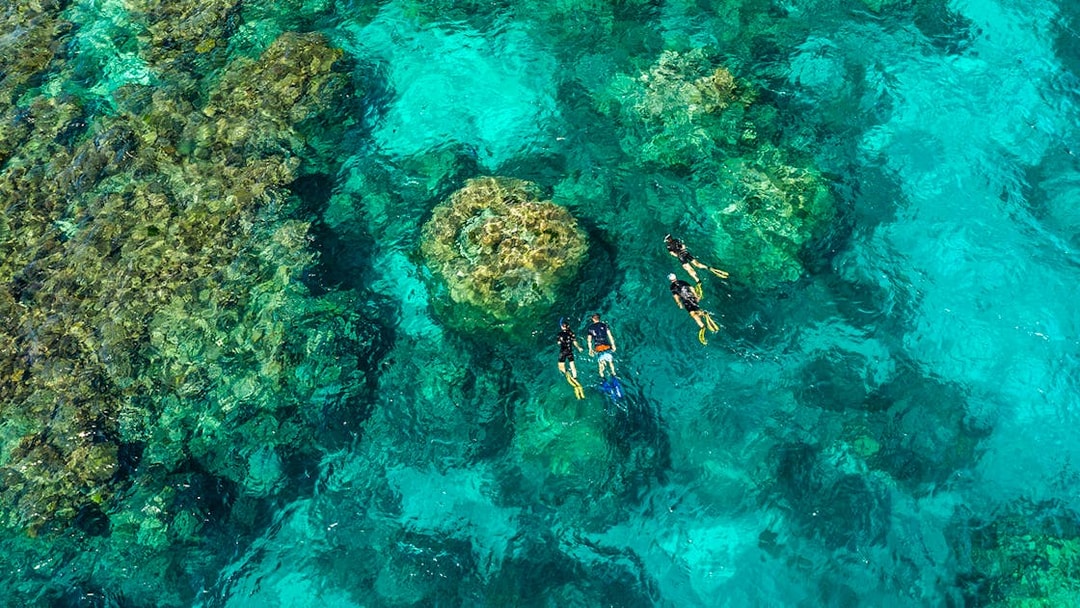 Snorkelers exploring coral reefs in clear waters, Outer Great Barrier Reef, Australia.