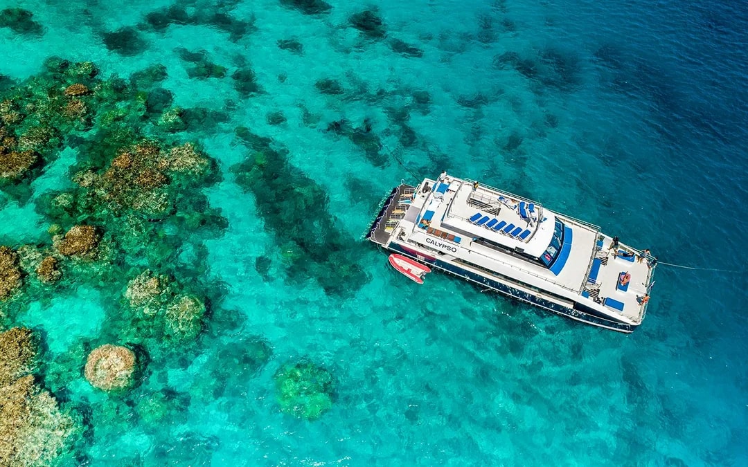 Port Douglas to Great Barrier Reef Cruise with Guided Snorkel and Lunch Image 8