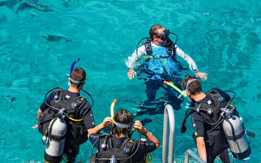 Port Douglas to Great Barrier Reef Cruise with Guided Snorkel and Lunch Image 9