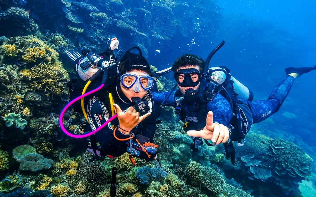 Port Douglas to Great Barrier Reef Cruise with Guided Snorkel and Lunch Image 10