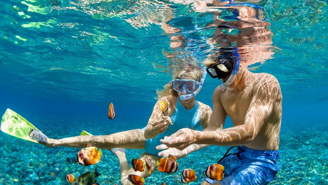 Tourists snorkeling among colorful fish in clear waters of Great Barrier Reef during Cairns cruise.