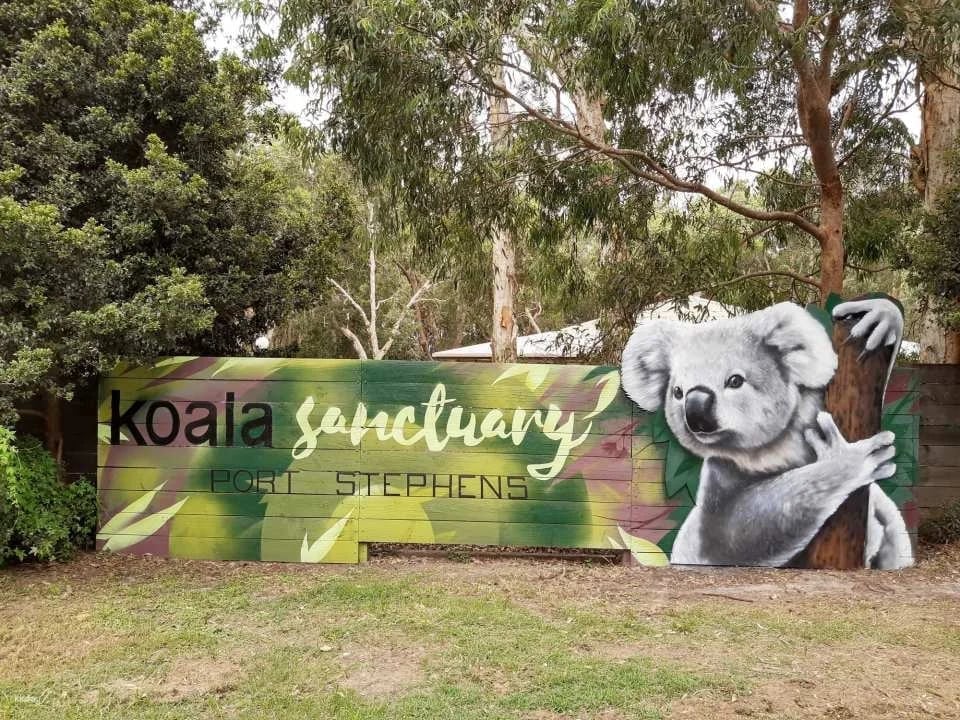 Port Stephens Koala Sanctuary Ticket - New South Wales