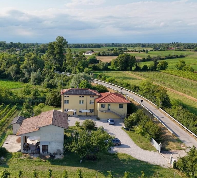 Portogruaro: Vineyard walk and tasting with Le Crede