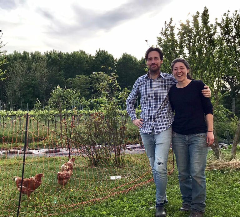 Portogruaro: Vineyard walk and tasting with Le Crede