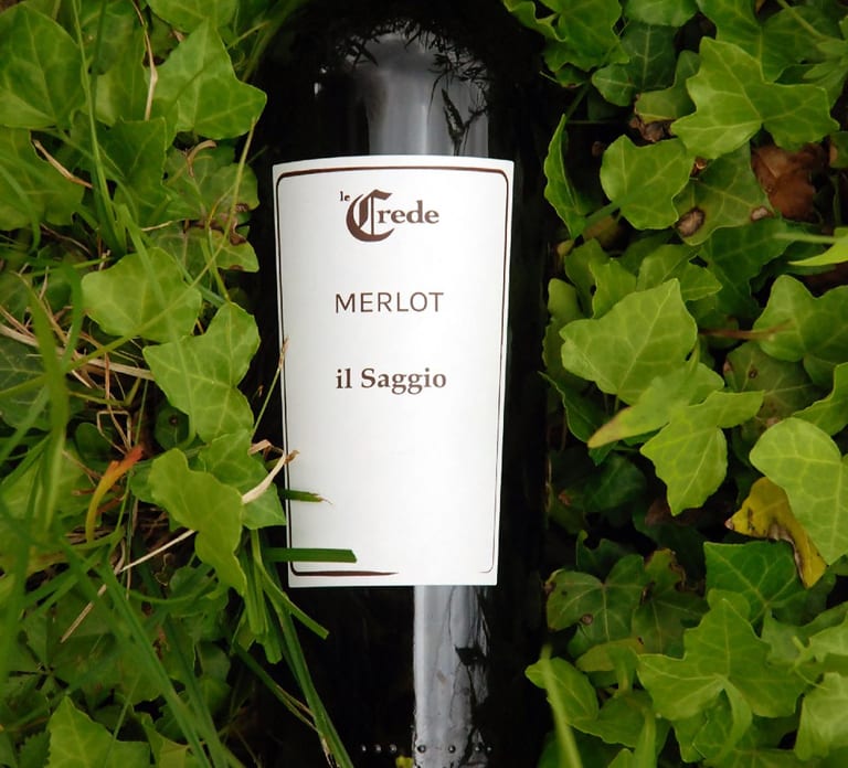 Portogruaro: Vineyard walk and tasting with Le Crede