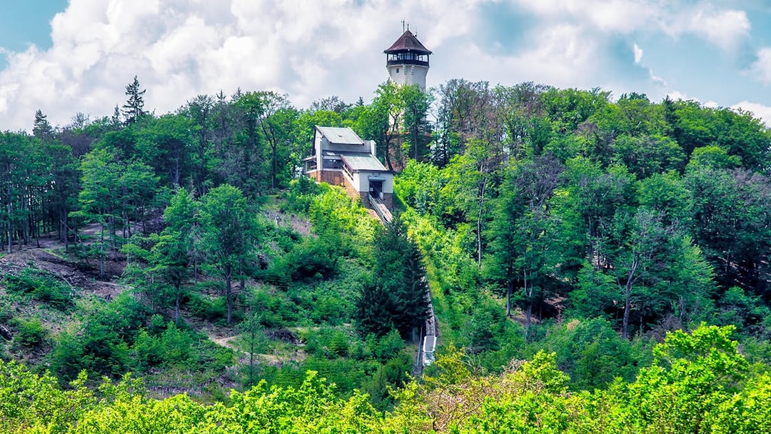 Watchtower Diana surrounded by lush forest in Karlovy Vary, Czech Republic.