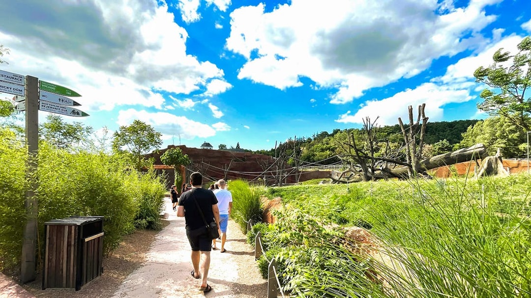 Visitors walking along a path surrounded by greenery at Prague Zoo.