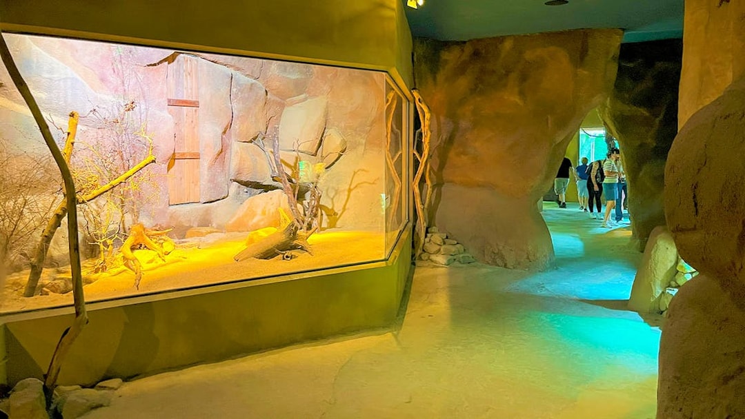Prague Zoo indoor exhibit with visitors walking through rocky passage.