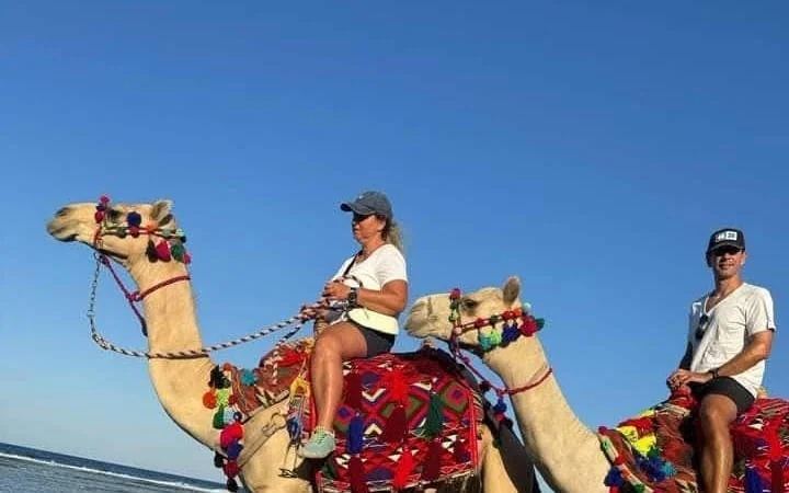Premium 1 Hour Desert Camel Riding Adventure - Hurghada Image 9