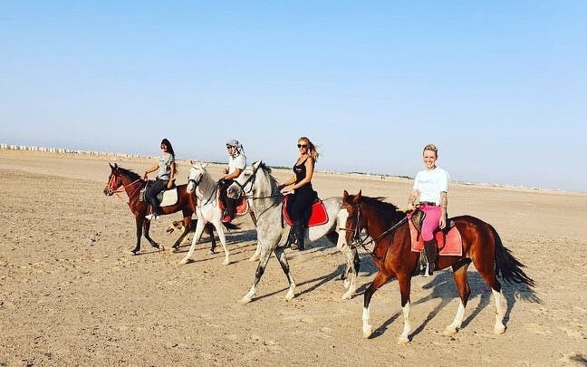 Premium 2 Hours Horse Riding, Desert Trail & Sea Beach - Hurghada Image 9
