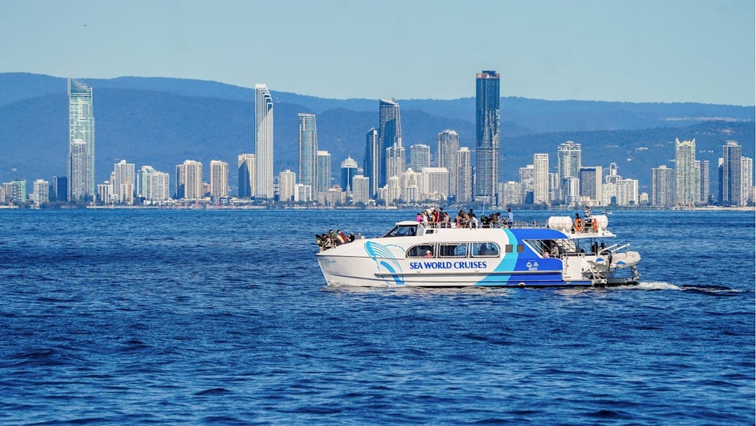 Whale watching cruise near Gold Coast skyline with professional photographer onboard.
