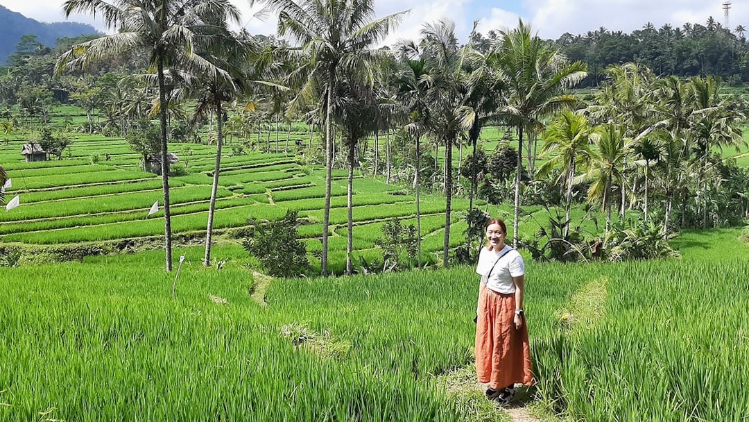 Person standing in Bali's lush Ubud rice terraces with palm trees in the background.