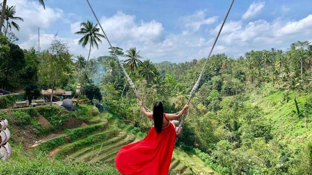 Person on swing overlooking Bali rice terraces and jungle.