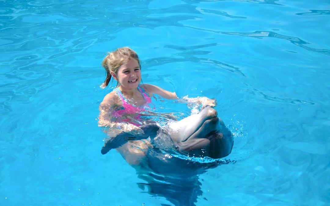 Private Dolphin Swim Adventure at Hurghada Dolphin World Image 3
