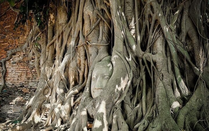 Private: Maeklong Railway Market and Ayutthaya Full Day Tour Image 1
