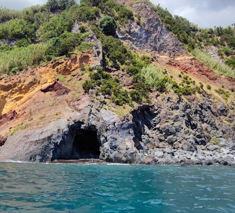 Private Half-Day Seafari with a Marine Biologist in Faial