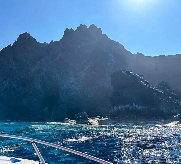 Private Half-Day Seafari with a Marine Biologist in Faial