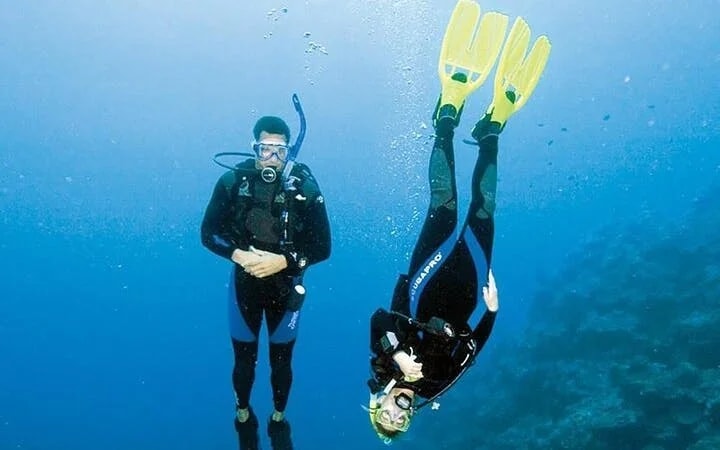 Professional Scuba Diving Adventure with Lunch – Sharm El Sheikh Image 8