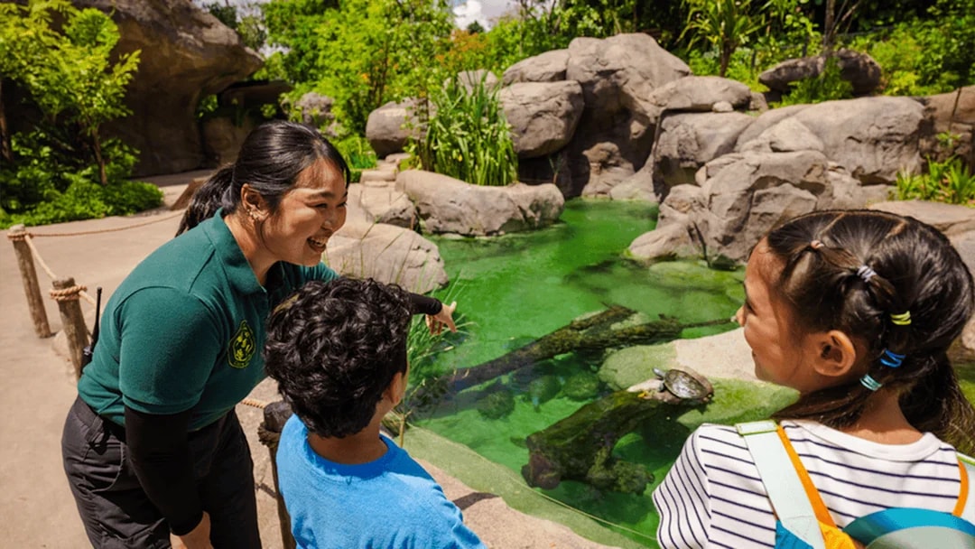 Ranger explaining pond ecosystem to children at entrance pond.