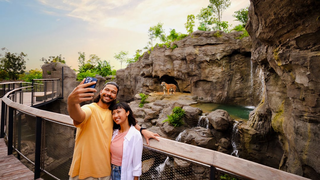 Couple taking selfie near rock cascade with tiger in background at zoo.