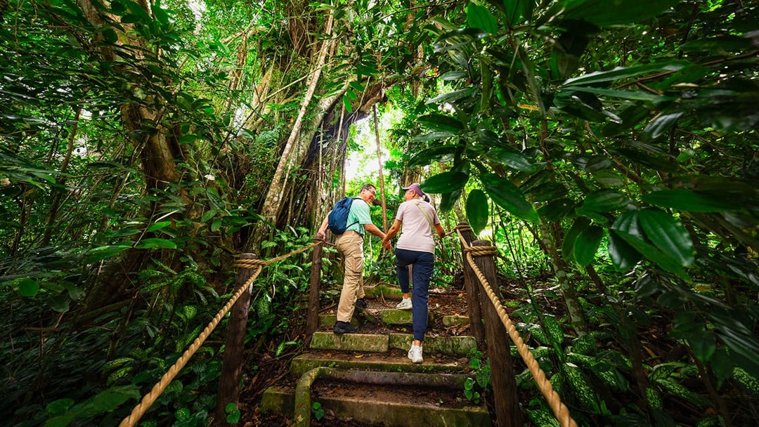 Couple walking up stone steps in lush Asian rainforest.