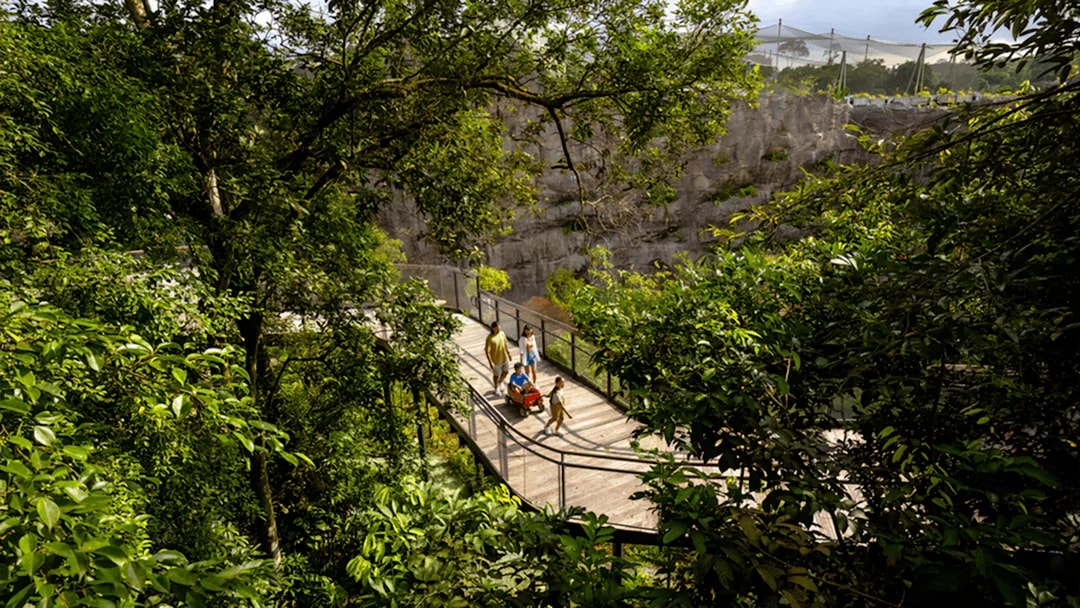 Family walking on an elevated walkway through lush greenery in a nature reserve.