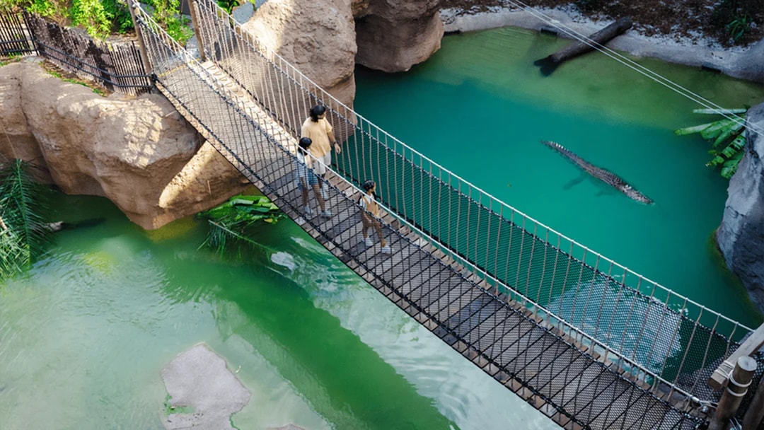 People crossing a suspension bridge over a crocodile in a turquoise water enclosure.