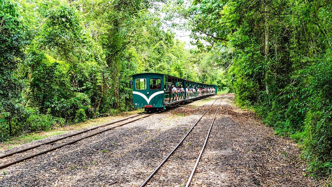 Train through lush forest near Iguazu Falls, Argentina.