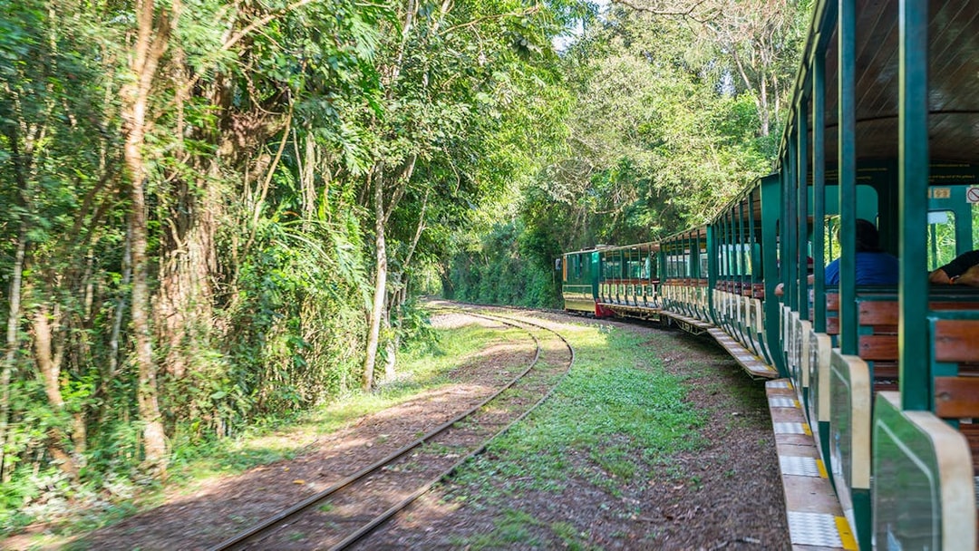 Train traveling through lush forest towards Iguazu Falls.