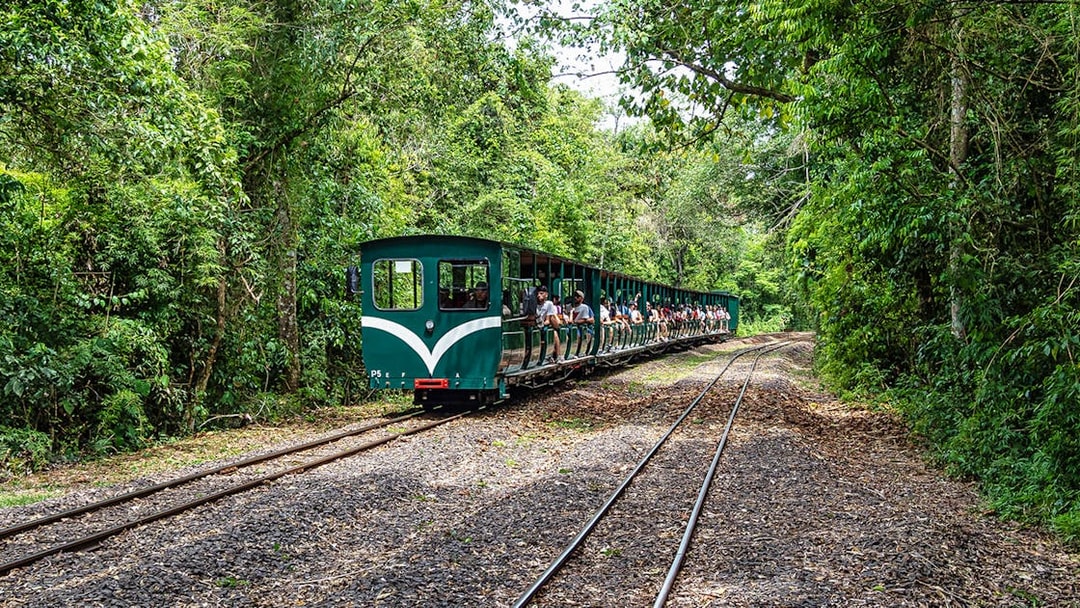 Tourists riding the Iguazu Falls Jungle Train through lush forest.