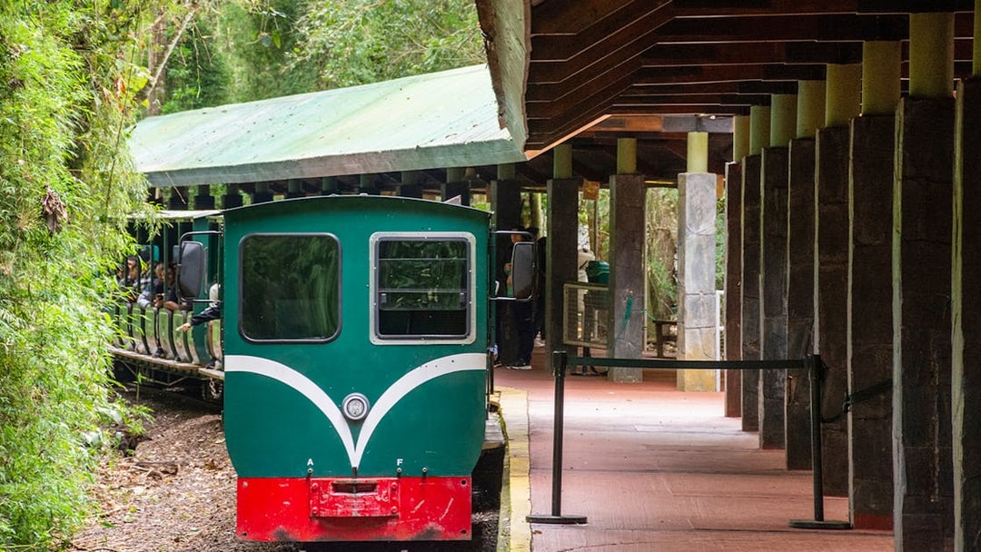 Train at Iguazu Falls station surrounded by lush greenery.
